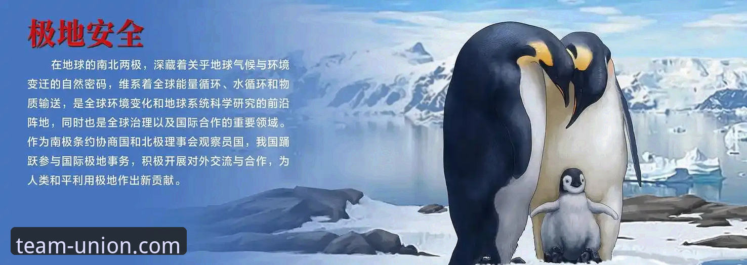 安全基石与创新体验：球盟会体育平台深度解析