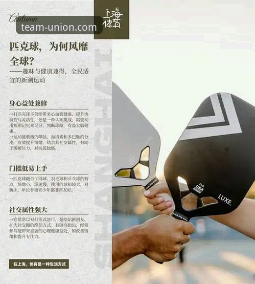 资深用户孙明远分享：解锁球盟会体育APP下载与高效使用全攻略