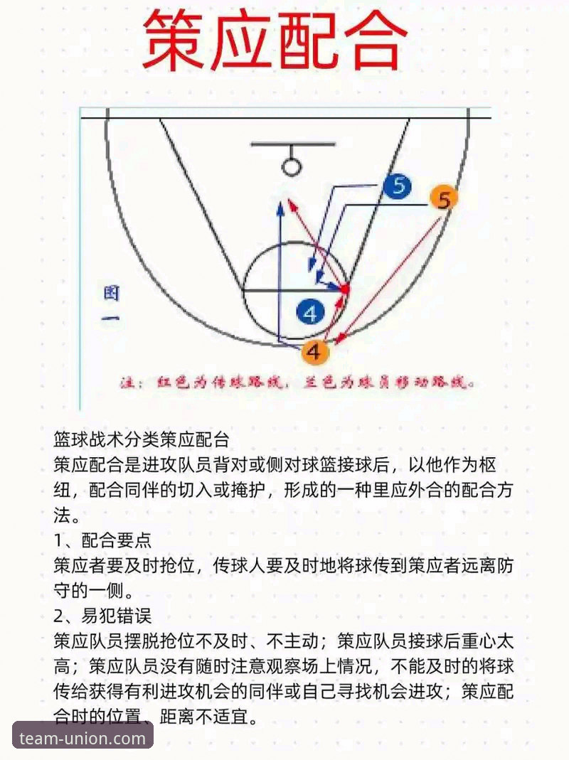 中国女篮战术革新与关键球员表现详解